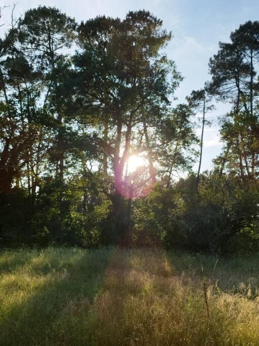 Bienvenue En Sud Gironde Villa Villandraut Dış mekan fotoğraf